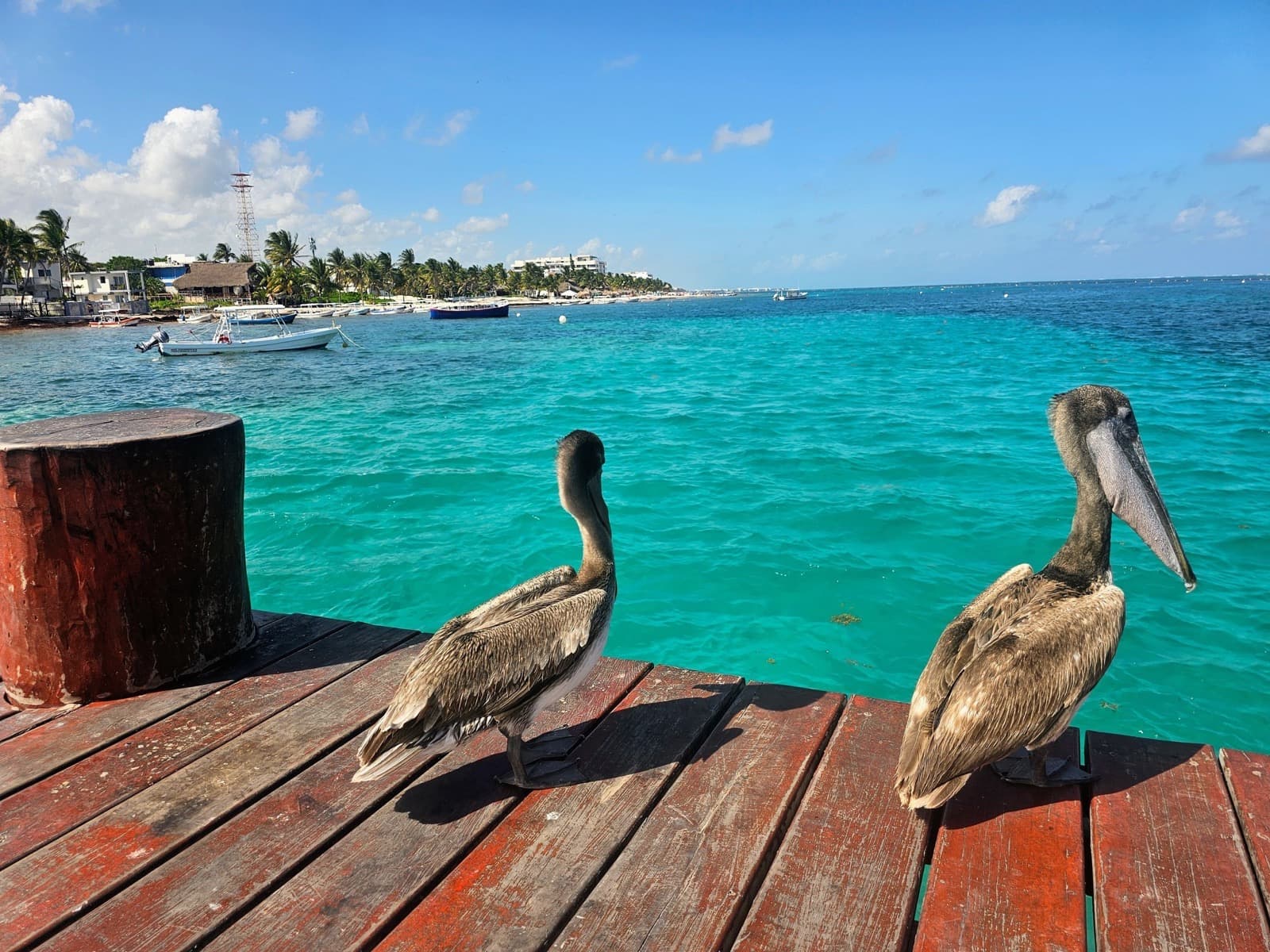 Puerto Morelos beachfront coastline